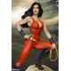 DC Comic Super Powers Collection Maquette Donna Troy 33 cm