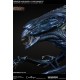 Aliens vs Predator Bust Maquette 1/3 Alien Queen 70 cm