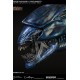 Aliens vs Predator Bust Maquette 1/3 Alien Queen 70 cm