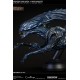 Aliens vs Predator Bust Maquette 1/3 Alien Queen Deluxe Version 70 cm