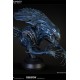 Aliens vs Predator Bust Maquette 1/3 Alien Queen Deluxe Version 70 cm