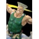 Street Fighter War Heroes Diorama 1/6 Guile 42 cm