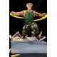 Street Fighter War Heroes Diorama 1/6 Guile 42 cm