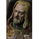 Lord of the Rings Action Figure 1/6 Théoden 30 cm