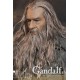 Lord of the Rings Action Figure 1/6 Gandalf 32 cm