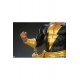 DC Comic Maquette Black Adam 53 cm