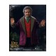 Lord of the Rings Action Figure 1/6 Bilbo Baggins 20 cm