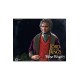 Lord of the Rings Action Figure 1/6 Bilbo Baggins 20 cm