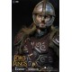 Lord of the Rings Action Figure 1/6 Eomer 30 cm