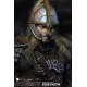 Lord of the Rings Action Figure 1/6 Eomer 30 cm