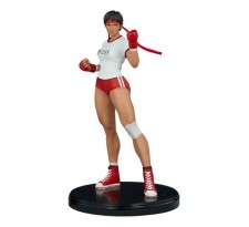 Street Fighter Statue Sakura Gym 42 cm