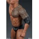 WWE Statue 1/4 The Rock 71 cm