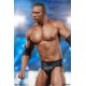 WWE Statue 1/4 The Rock 71 cm