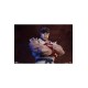 Street Fighter PVC Statues 1/10 Ryu and Dan 18 cm