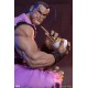 Street Fighter PVC Statues 1/10 Ryu and Dan 18 cm