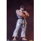 Street Fighter PVC Statues 1/10 Ryu and Dan 18 cm