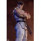 Street Fighter PVC Statues 1/10 Ryu and Dan 18 cm