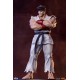 Street Fighter PVC Statues 1/10 Ryu and Dan 18 cm