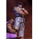 Street Fighter PVC Statues 1/10 Ryu and Dan 18 cm