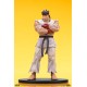 Street Fighter PVC Statues 1/10 Ryu and Dan 18 cm