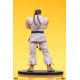 Street Fighter PVC Statues 1/10 Ryu and Dan 18 cm