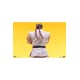 Street Fighter PVC Statues 1/10 Ryu and Dan 18 cm