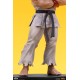 Street Fighter PVC Statues 1/10 Ryu and Dan 18 cm