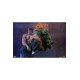 Street Fighter PVC Statues 1/10 Blanka & Fei Long 21 cm