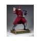 Street Fighter Statue 1/3 M. Bison 74 cm