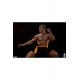 Jean-Claude Van Damme Statue 1/3 Jean-Claude Van Damme: Shotokan Tribute 57 cm