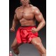 Bolo Yeung Statue 1/3 Bolo Yeung: Kung Fu Tribute 58 cm