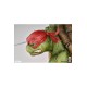 Teenage Mutant Ninja Turtles Statue 1/3 Raphael (Deluxe Edition) 53 cm