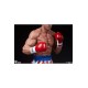 Rocky IV Statue 1/3 Rocky 66 cm