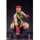 Street Fighter PVC Statues 1/10 Cammy and Birdie 24 cm