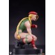 Street Fighter PVC Statues 1/10 Cammy and Birdie 24 cm