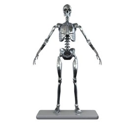 Stainless Steel Mark I Endoskeleton 1/6 Scale..