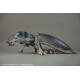 Starship Troopers Tanker Bug Maquette Signature Edition
