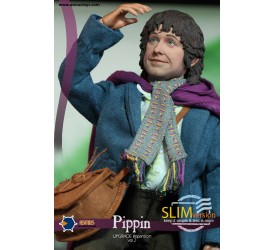 THE LORD OF THE RING PIPPIN SLIM VERSION 1/6 ..