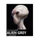 The Dulce Wars Life-Size Bust Alien Grey 61 cm