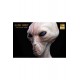 The Dulce Wars Life-Size Bust Alien Grey 61 cm