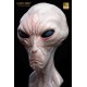 The Dulce Wars Life-Size Bust Alien Grey 61 cm