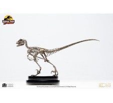 Jurassic Park: Velociraptor Skeleton Bronze 1:8 Scale Statue