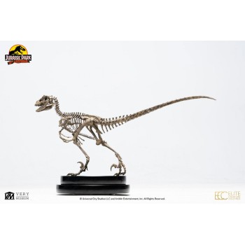 Jurassic Park: Velociraptor Skeleton Bronze 1:8 Scale Statue