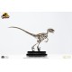 Jurassic Park: Velociraptor Skeleton Bronze 1:8 Scale Statue