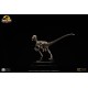 Jurassic Park: Velociraptor Skeleton Bronze 1:8 Scale Statue