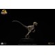 Jurassic Park: Velociraptor Skeleton Bronze 1:8 Scale Statue