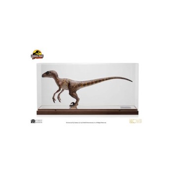 Jurassic Park Statue 1/4 Velociraptor Clever Girl 49 cm (With Acrylic Case)