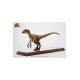 Jurassic Park Statue 1/4 Velociraptor Clever Girl 49 cm (With Acrylic Case)