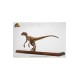 Jurassic Park Statue 1/4 Velociraptor Clever Girl 49 cm (With Acrylic Case)