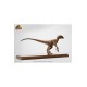 Jurassic Park Statue 1/4 Velociraptor Clever Girl 49 cm (With Acrylic Case)